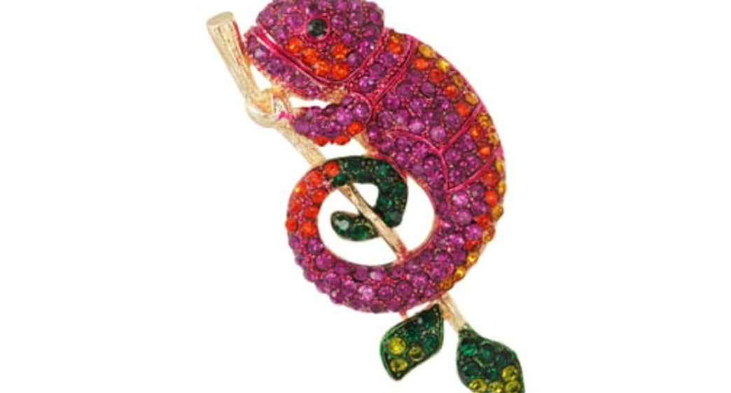 Broche salamander