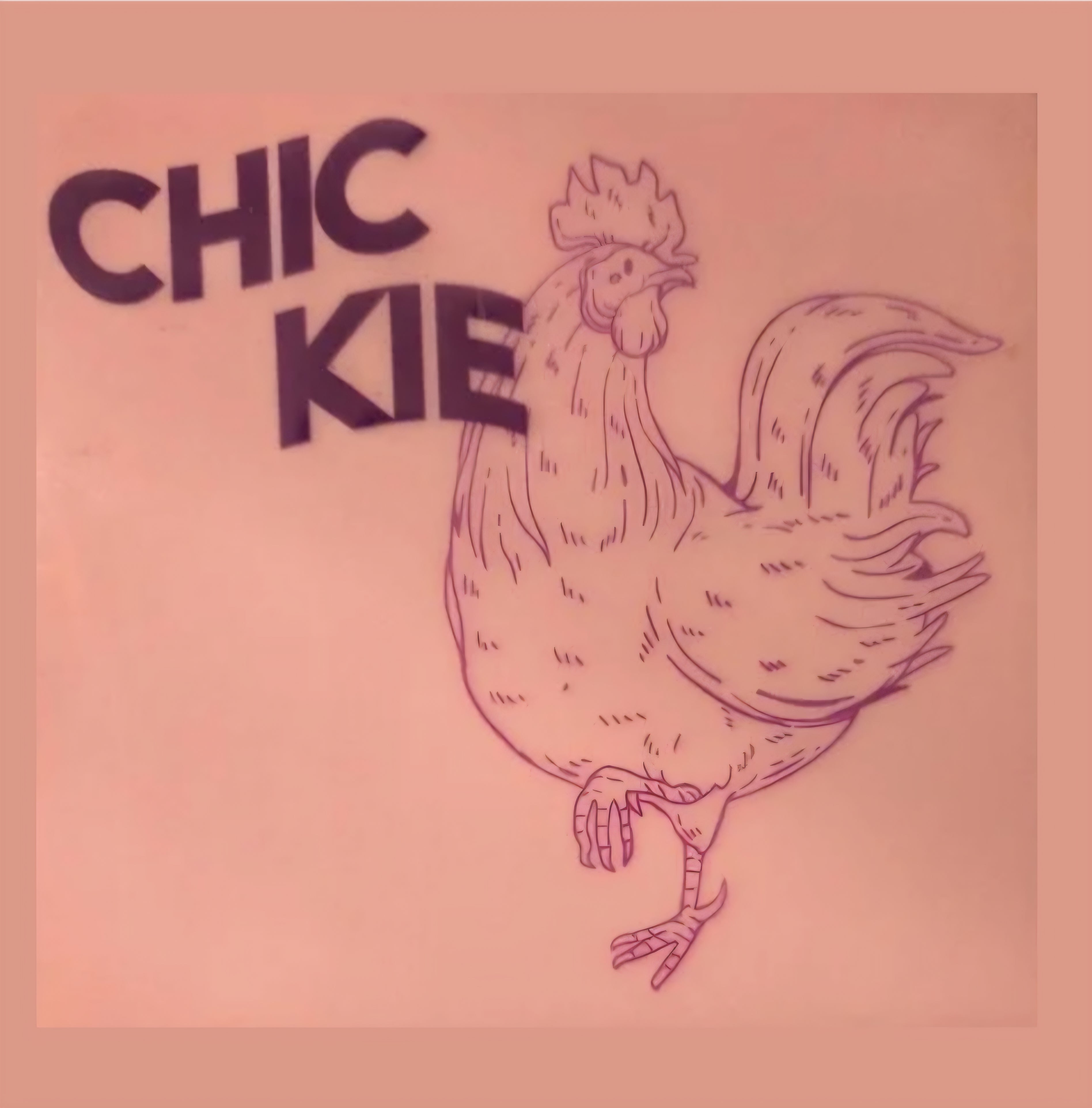 Tegeltje chickie