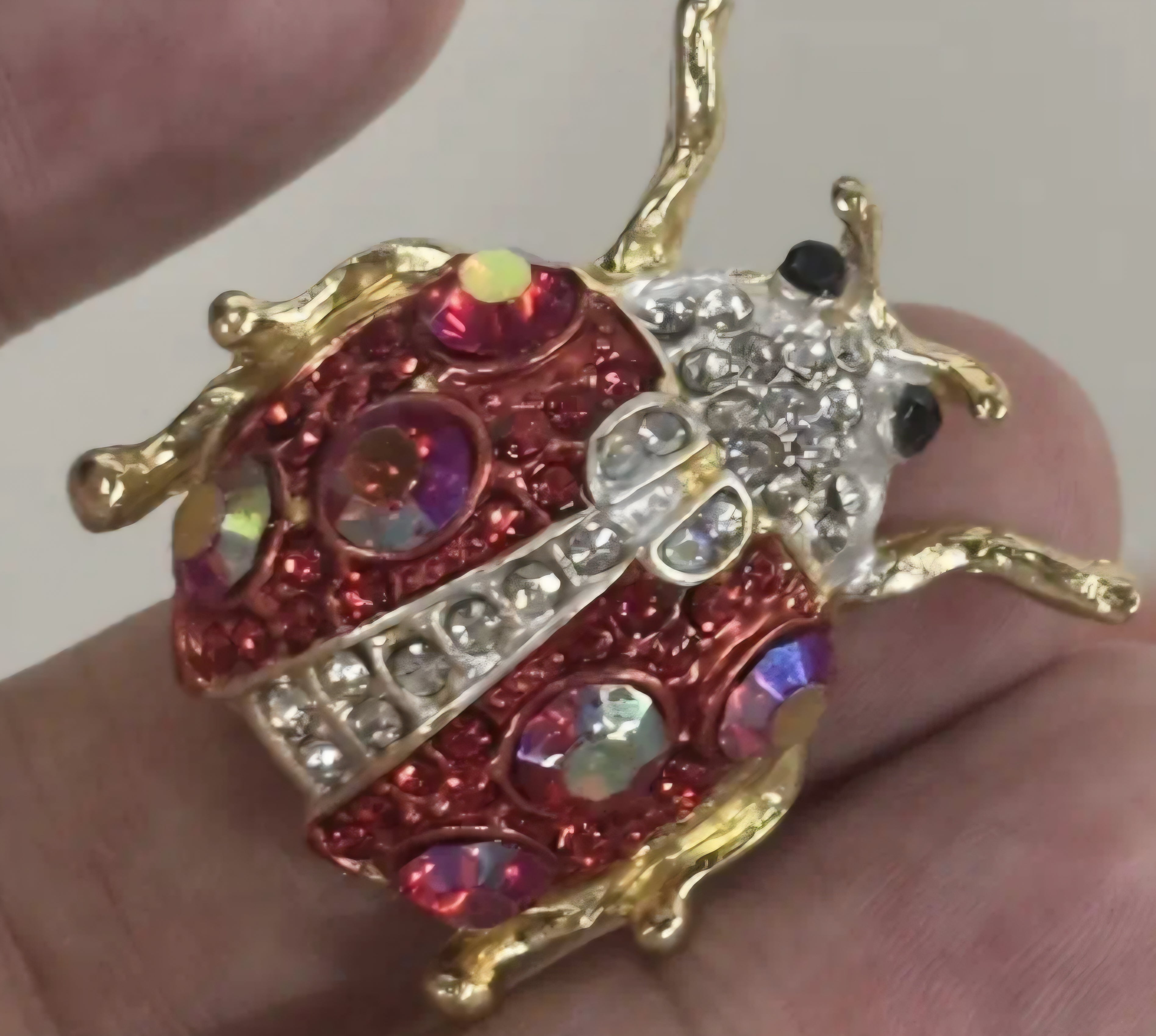 Broche lieveheersbeestje