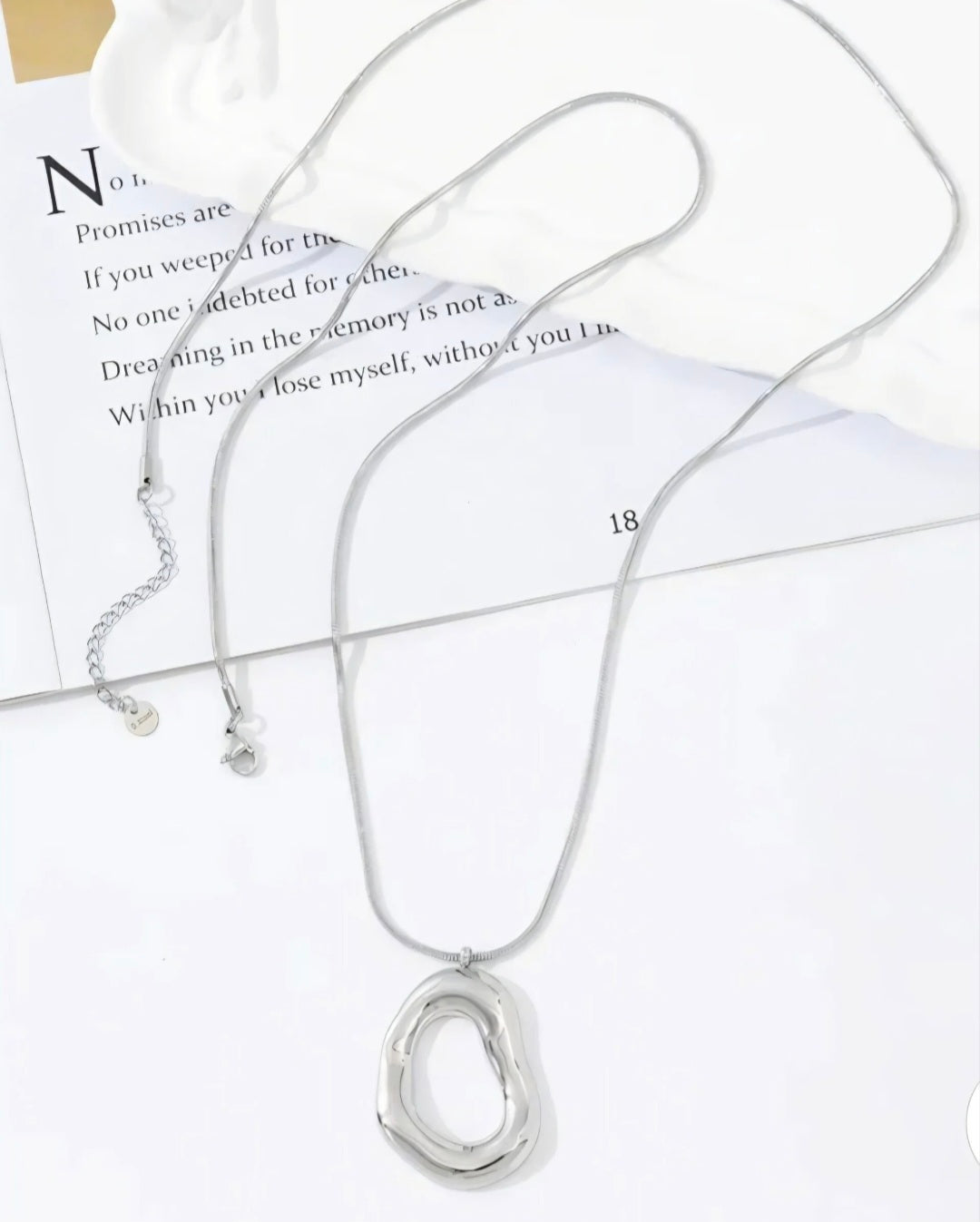 Lange ketting 80cm- zilver- ovale hanger- Stainlesssteel