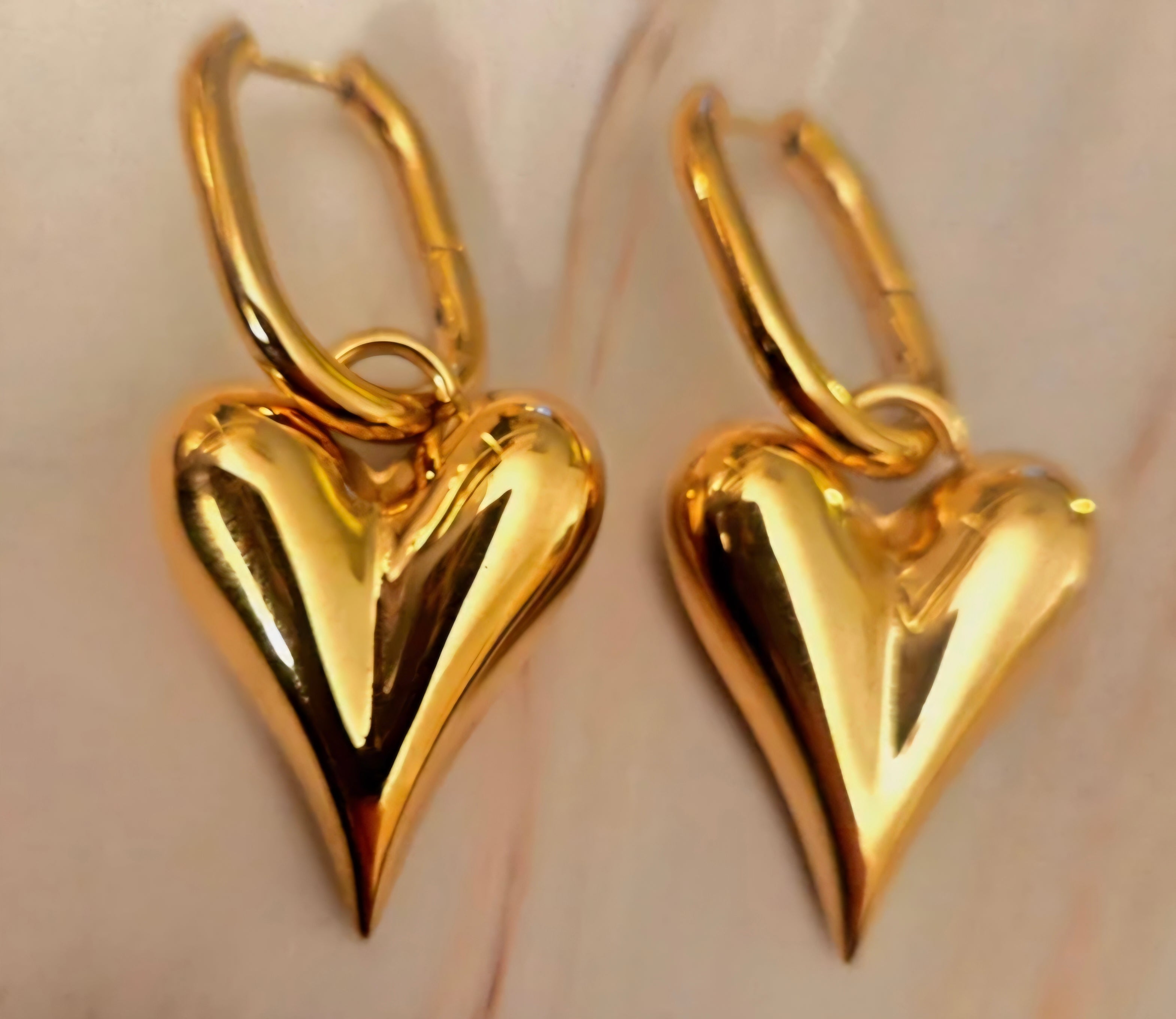 Oorbellen- goud- Stainlesssteel- hart