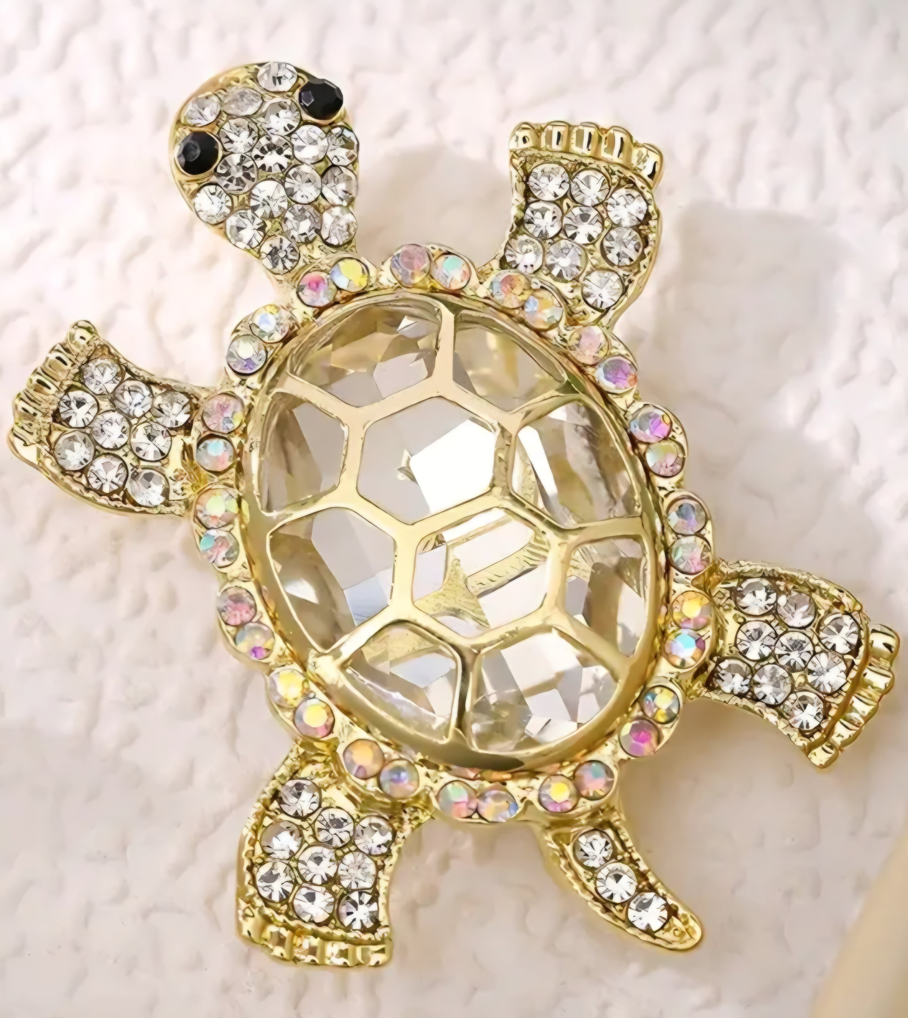 Broche schildpad